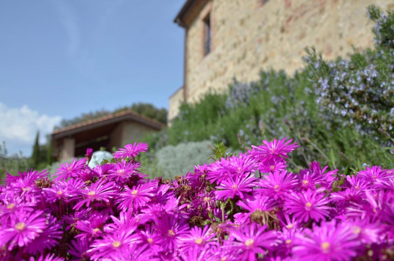 Vila Antico Casale L'Impostino Civitella Marittima Exteriér fotografie